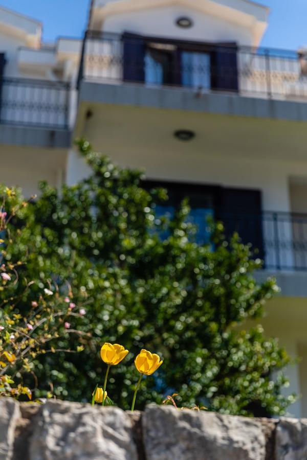 Apartments Miramar Kotor Exterior foto